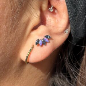 Cluster Negro + Morado