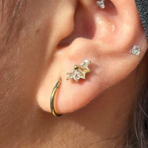 Abanico Champagne Titanio