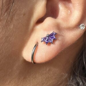 Abanico Purpura Titanio