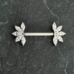Marquise Silver Titanio
