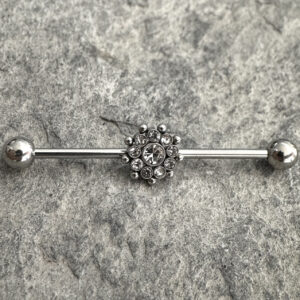 Anais Industrial Silver