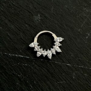 Destiny Argolla Titanio