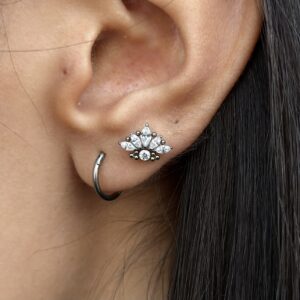 Princess Clear Silver Titanio